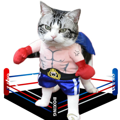 LookAtMeow // Funny Boxer Costume for Cats