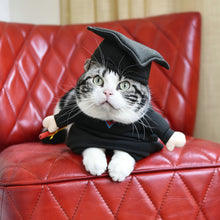 Load image into Gallery viewer, LookAtMeow // PhD - Graduation Cat Clothes
