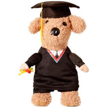 Load image into Gallery viewer, LookAtMeow // PhD - Graduation Cat Clothes