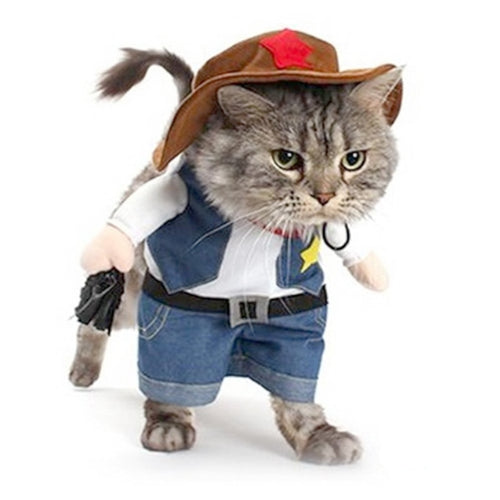 LookAtMeow // Cat Cowboy Costume