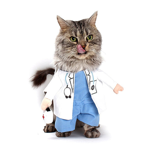 LookAtMeow //  Cat Clothe Mr/Ms Doctor