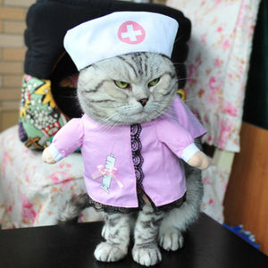 LookAtMeow //  Funny Cat Clothe  Pirate