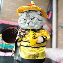 Load image into Gallery viewer, LookAtMeow //  Funny Cat Clothe  Pirate